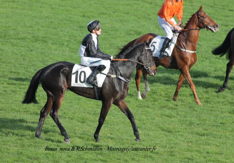 Photos Auteuil 8-11-2015 (48h de l'obstacle) IMG_7009