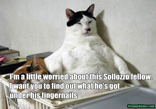 godfather-cat-06.jpg