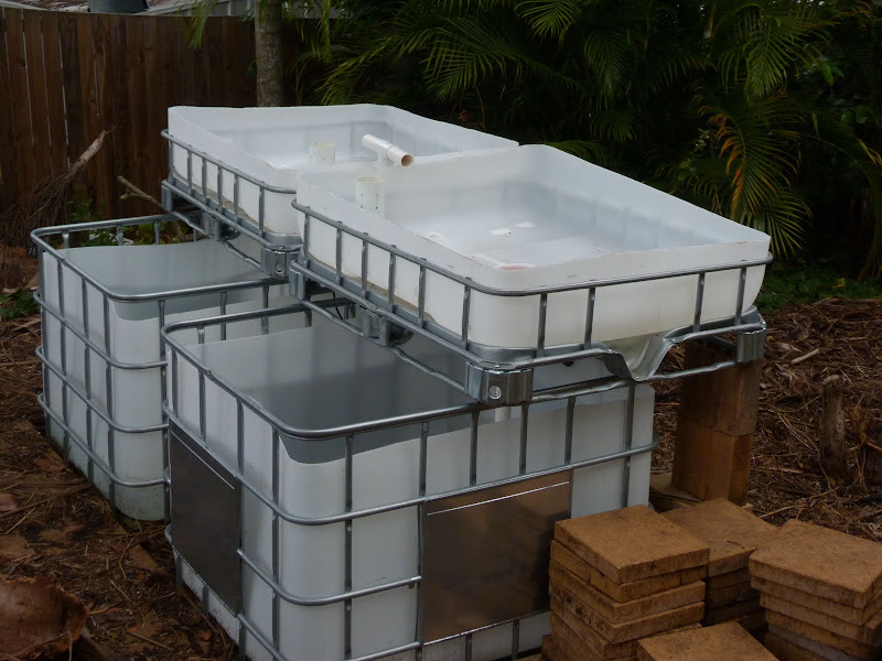 Backyard Aquaponics • View topic - Mick's Twin IBC System ...