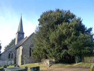 CIMG0360 St George, Crowhurst and yew tree