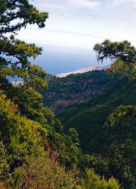 Isla de La Palma (Canarias, provincia de Tenerife): La isla bonita. - De viaje por España (43)