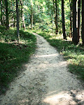 Forest trail near Meadowside Nature Center in Rock Creek Park, Rockville, Maryland.