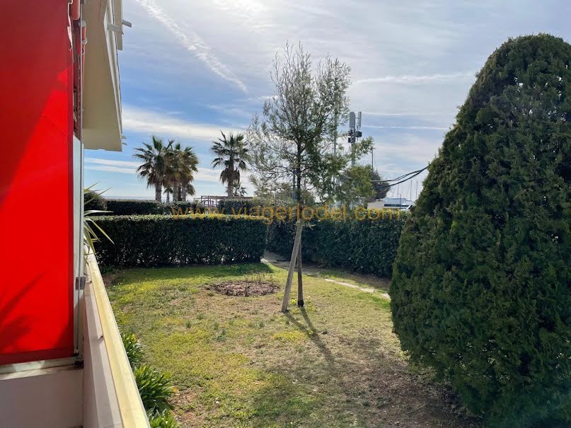 Vente viager 1 pièce 31.35 m² à Villeneuve-Loubet (06270), 155 000 €