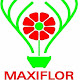 Maxiflor, Lda