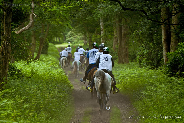 صور منوعة للسمو الشيخ / محمد بن راشد ال مكتوم والشيخ حمدان بن راشد ال مكتوم  EnduranceHorseRacing11