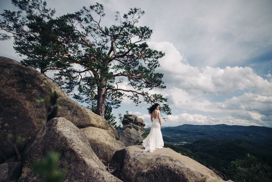 Wedding photographer Sergey Soboraychuk (soboraychuk). Photo of 10 September 2017