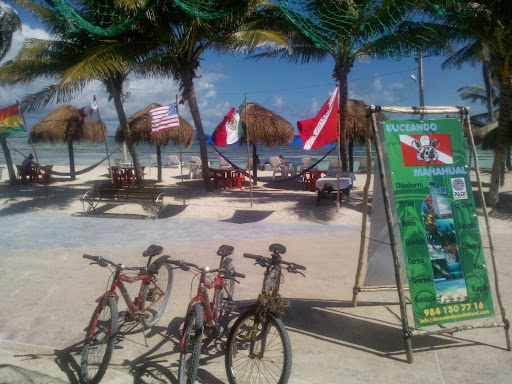 Buceando Mahahual, Avenida Mahahual s/n, Centro, 77976 Mahahual, Q.R., México, Profesor de buceo | QROO