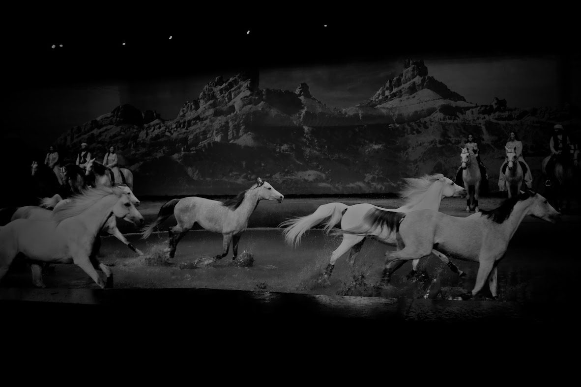 Cavalia show at Qasr al Hosn Festival in Abu Dhabi