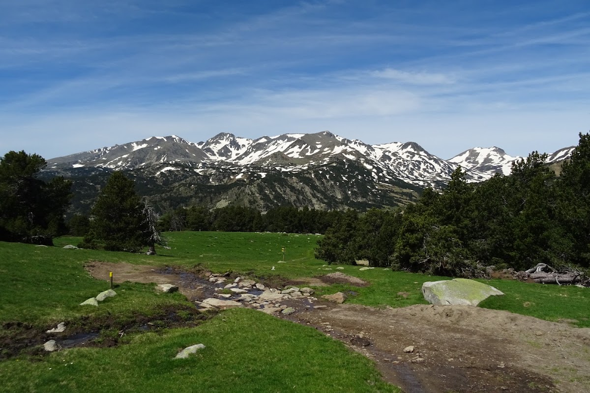 DSC02424.JPG