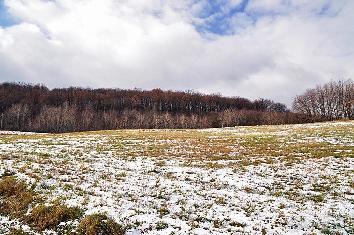 Mănăstirea Suruceni, Moldova