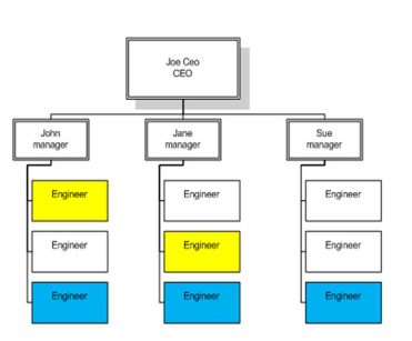 organizational structure: weak matrix