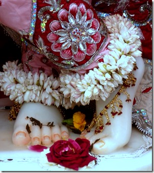 [Krishna's lotus feet]