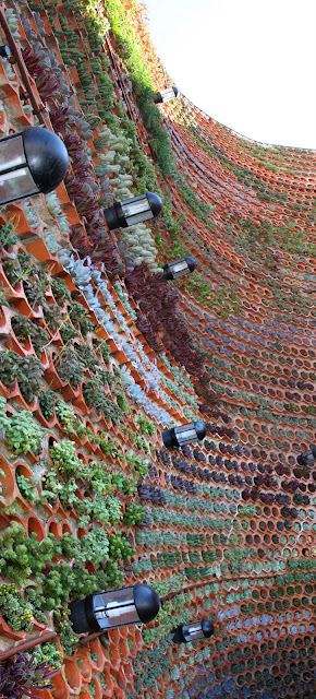 Jardín vertical. Hotel Ushüaia. Ibiza