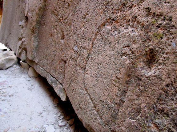 Weathered and lichen-covered petroglyphs