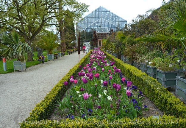 Glória Ishizaka - Hortus Botanicus Leiden - 7