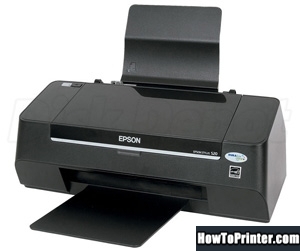 Reset Epson S20 printer use Epson Waste Ink Pad Counters resetter