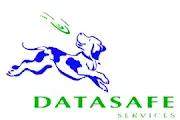 DataSafe Services Limited Logo