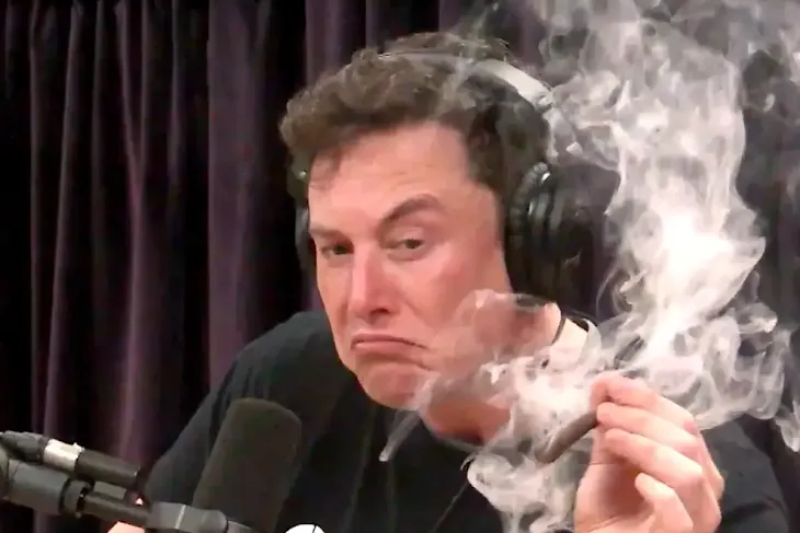 musk merokok ganja