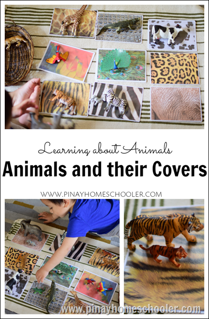 Animal Covers