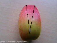 Bento-Mania.....verrückt nach der japanischen Lunch Box: Anleitung ...