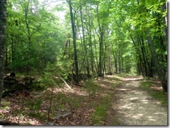 Wolf Rock Trail