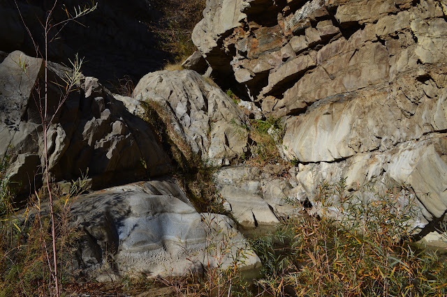 water cascading down a boulder into a little pool