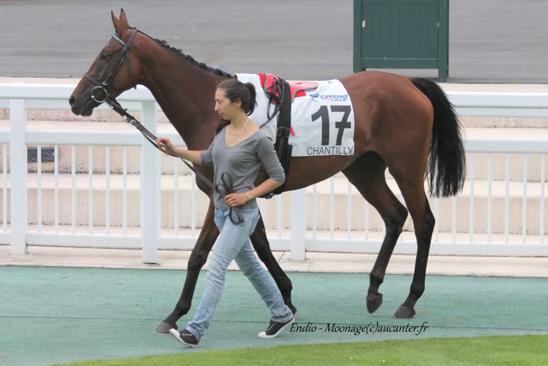 Photos Chantilly 12-07-2015 IMG_2760