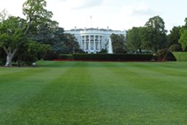 The White House