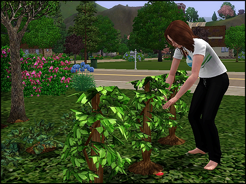 Gardening