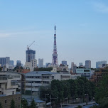 tokyo tower in Tokyo, Japan 