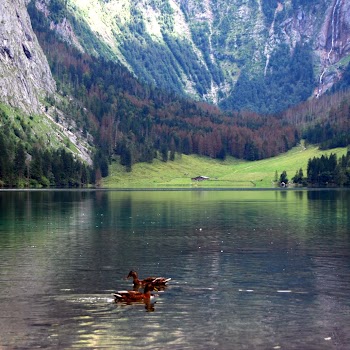 OBERSEE 13-08-2011 14-22-10.JPG