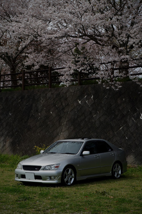 アルテッツァの桜とコラボ🌸・アルテッツァ・いいねが1000超えたいに関するカスタム事例の投稿画像1枚目