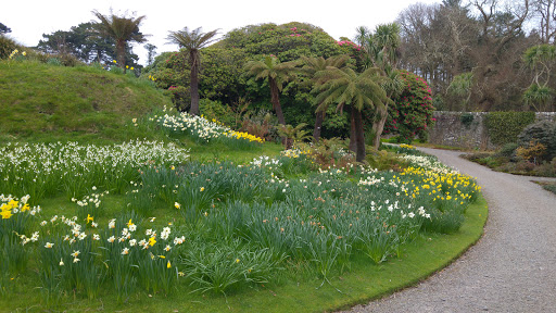 Logan Botanic Garden