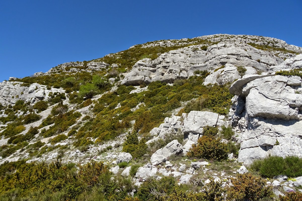 DSC02849.JPG