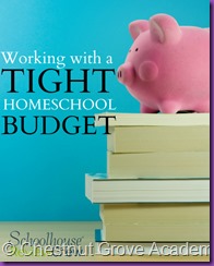 Working-with-a-Tight-Homeschool-Budget1