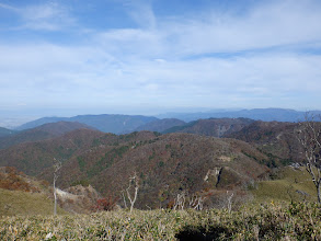 杉峠へ降りる