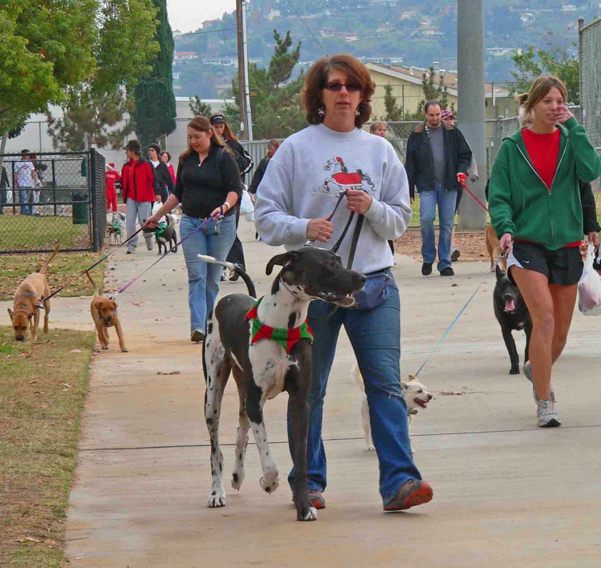 El Cajon Animal Shelter