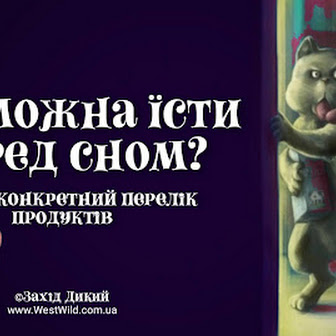 А тепер про серйозне: що можна їсти перед сном? Даємо конкретний перелік продуктів