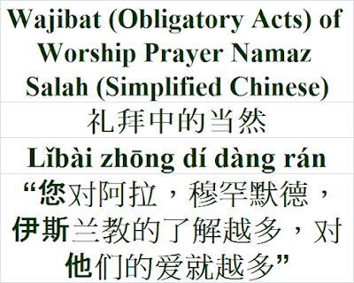 Wajibat Obligatory Acts of Worship Prayer Namaz Salah Simplified Chinese Language 礼拜中的当然 Lǐbài zhōng dí dàng rán