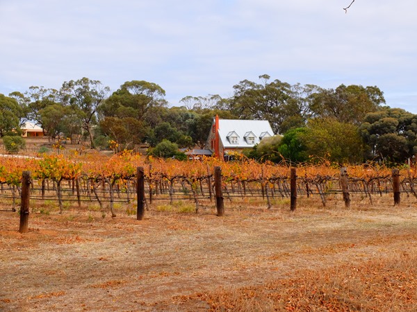 Wishful Thinking - South Australia