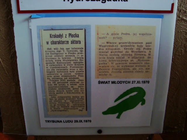 Informacje prasowe o Marcie