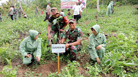 Dalam Rangka HUT Kodam XIV/Hasanuddin, Kodim 1423/Soppeng Gelar Penanaman Pohon Serentak 