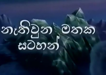 NIM NETHI KATHAWA 06