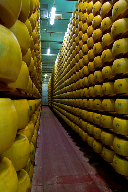 Parmigiano Regano