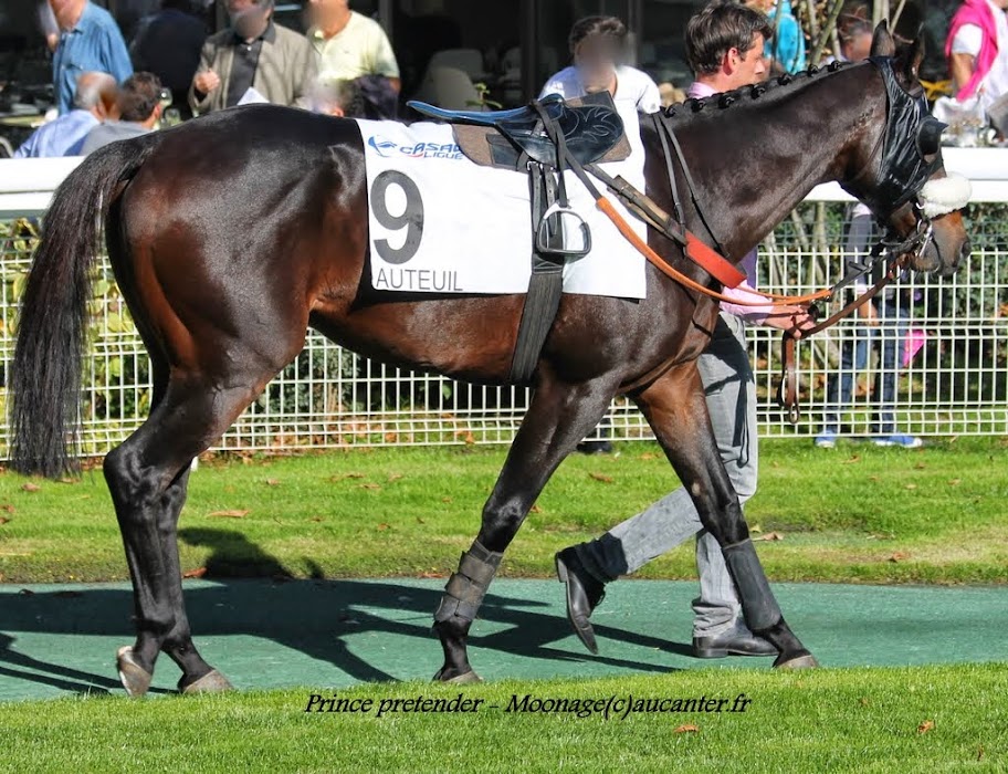 Photos Auteuil 18-10-2014 IMG_4923