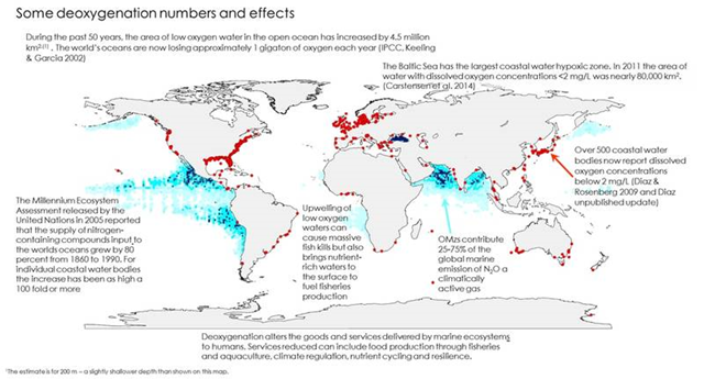 Map showing global distribution of anoxic ocean waters. During the past 50 years, the area of low-oxygen water in the open ocean has increased by 4.5 million square km. The world's oceans are losing approximately 1 gigaton of oxygen each year. Graphic: UNESCO