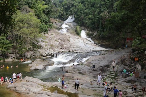 Chamang River Recreational Forest