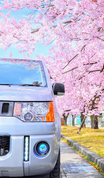 デリカD:5の桜・SONY・桜と愛車・α7RIII・CT写真部に関するカスタム事例の投稿画像1枚目