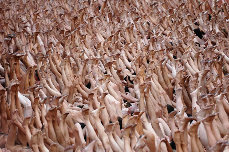 O mundo despido de Spencer Tunick