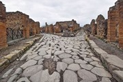 xl43-pompei-degrado-biblioteca-120419150251_medium.jpg.pagespeed.ic.lGXQZURuuL